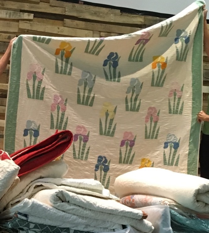 01063c9bb5819f7379c9b6a72a2b67b7114c25acac