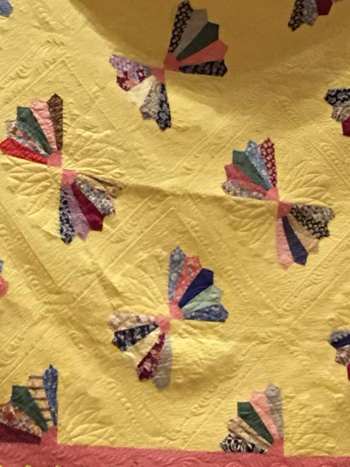 40284206_1127081937447608_7295619980870025216_n